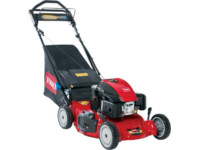 Go to shorewoodhomeandauto.com (check-out-our--lawn-mower-showroom)